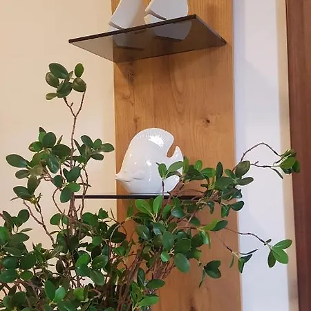 Lavanda Garden Rab Town