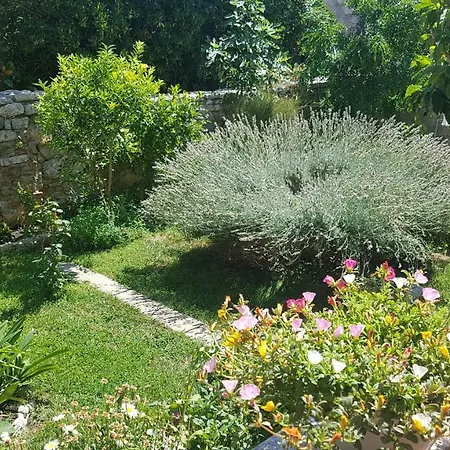 Lavanda Garden Apartment Rab Town