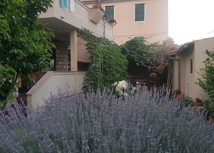 Lavanda Garden Rab Town
